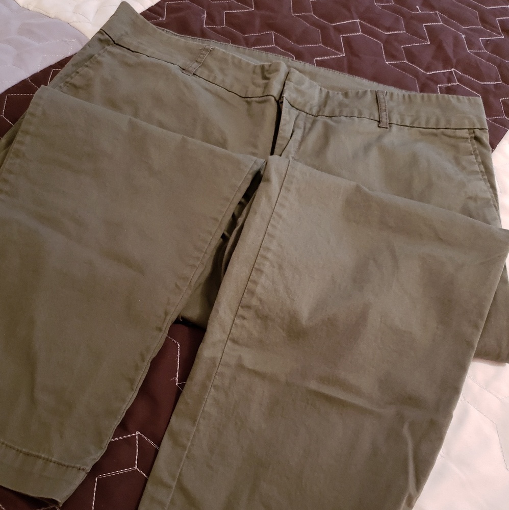 Olive Pant